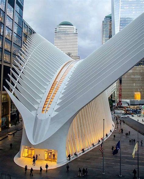 where did santiago calatrava study.